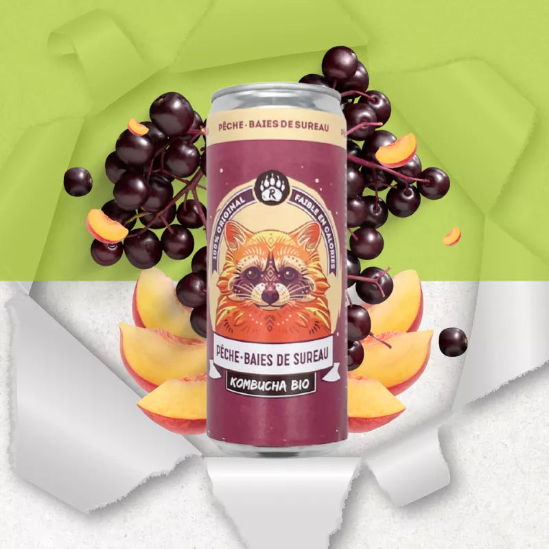 Kombucha pêche-baies de sureau - par 2
