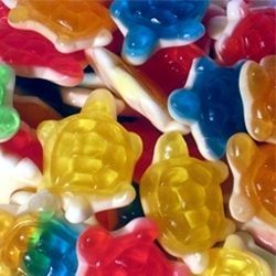 Tortues lisses - 200gr