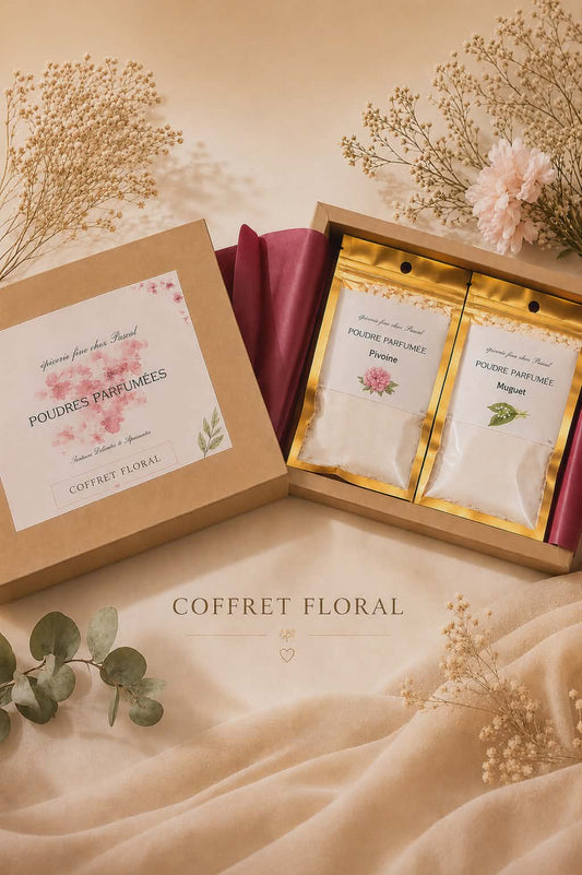 Coffret poudre d'aspirateur