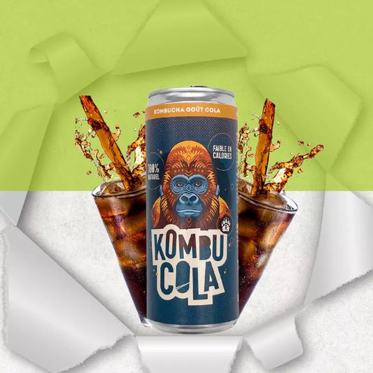 Kombucha bio cola sans gluten - par 2