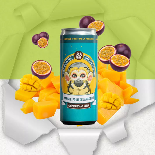Kombucha bio mangue passion sans gluten - par 2