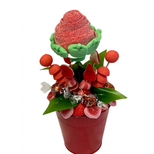 Fleur en pot - Ma rose d'amour