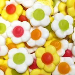 Marguerites daisies - 200gr