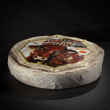 Saint Nectaire Laitier Marcel Charrade